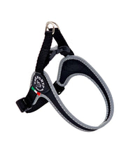Hondentuig Fibbia verstelbaar maat 3,5 (48-62 cm)